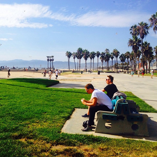 Two men sitting on a bench in a park with palm trees, overlooking a beach area where people are walking and playing.