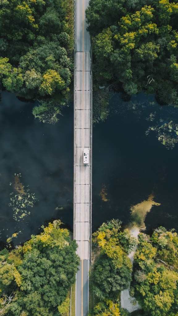 Aerial view of a bridge spanning over a body of water, surrounded by lush green trees and foliage.