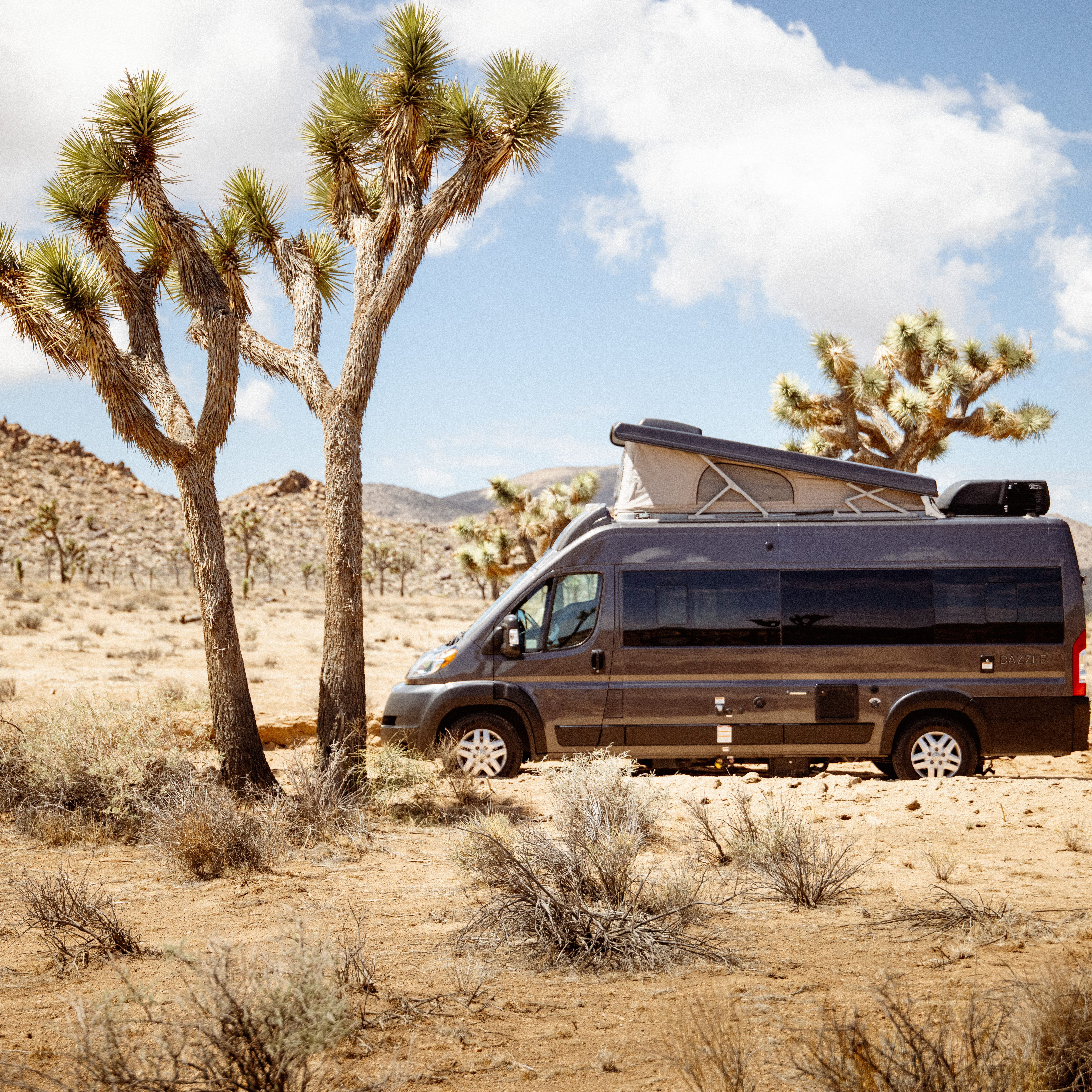 Campervan RV Camping in Joshua Tree