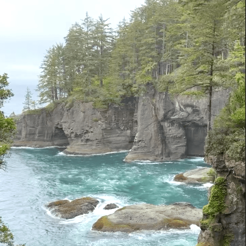 Neah Bay Coast